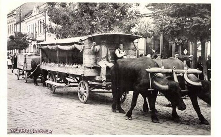 Liečivá voda s kyselinou fulvovou